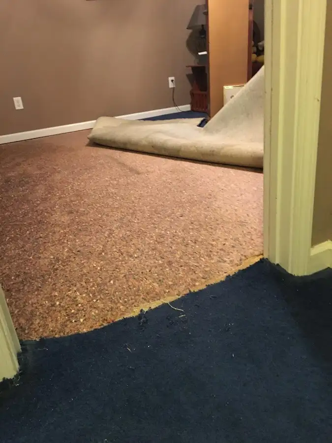 Carpet pad removal revealing water damage during Water Mitigation Services in Florida Ridge
